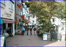 wp49c0c27d_0f.jpg